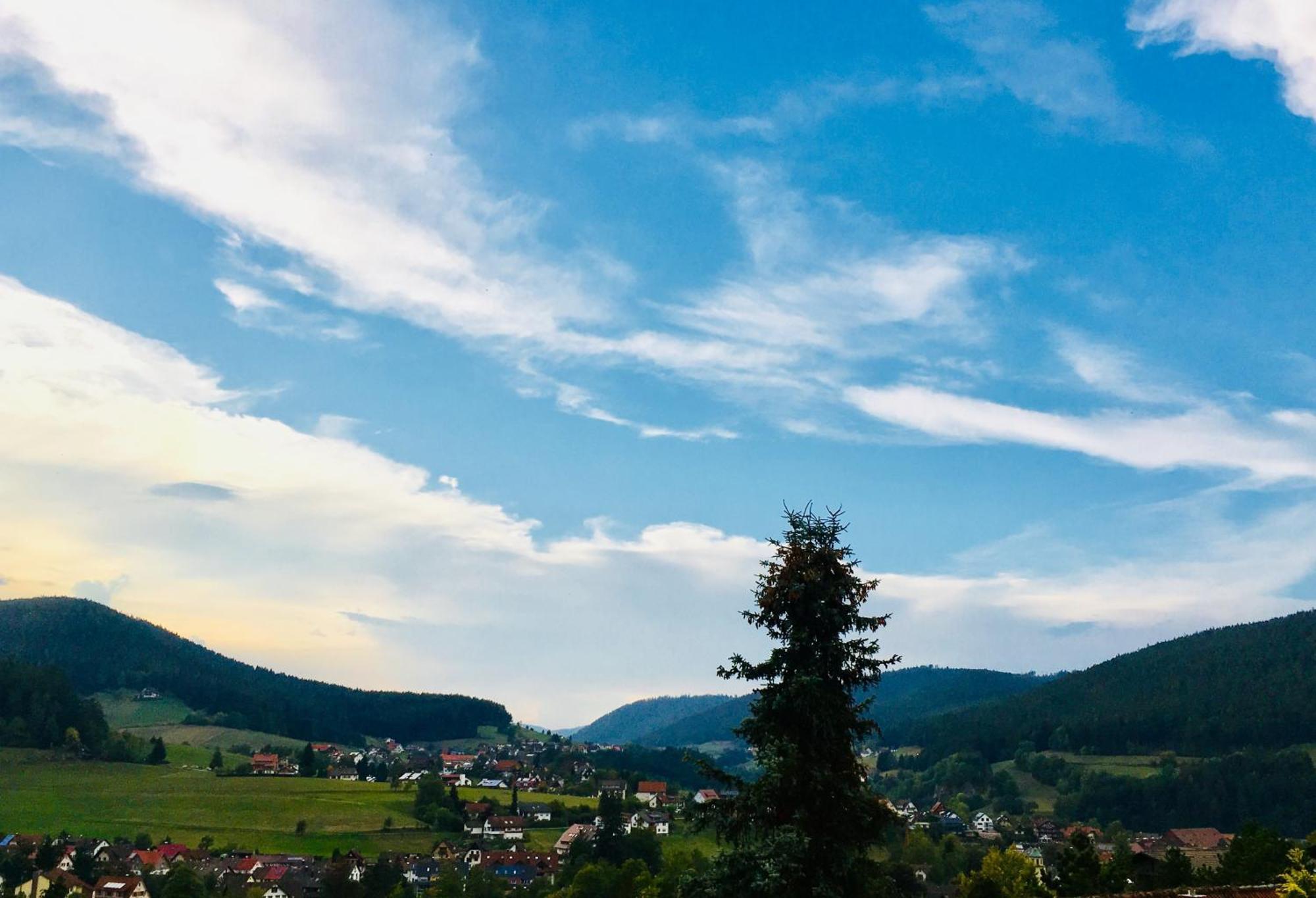 Goldener Hahn B&B Baiersbronn - Ferienwohnungen Mit Hotel Service Nahe Gartenschau Tal X Kültér fotó